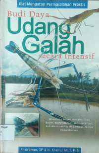 Image of Budi daya udang galah secara intensif